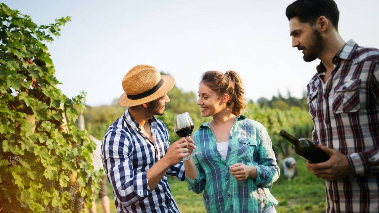 A man and woman smiles and clinks glasses of wine in a vineyard with a man standing nearby.